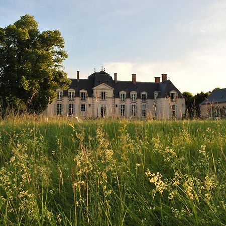 Chateau La Touanne Loire Valley Baccon Exteriör bild