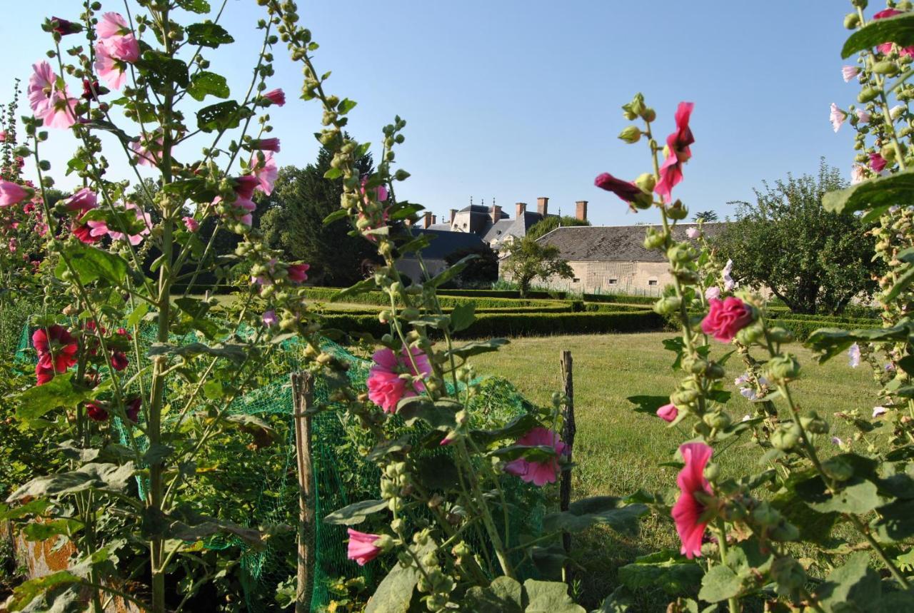 Chateau La Touanne Loire Valley Baccon Exteriör bild
