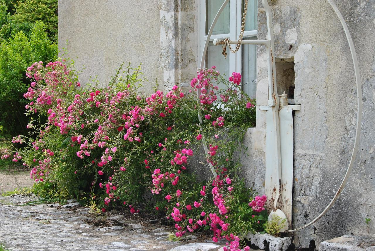 Chateau La Touanne Loire Valley Baccon Exteriör bild