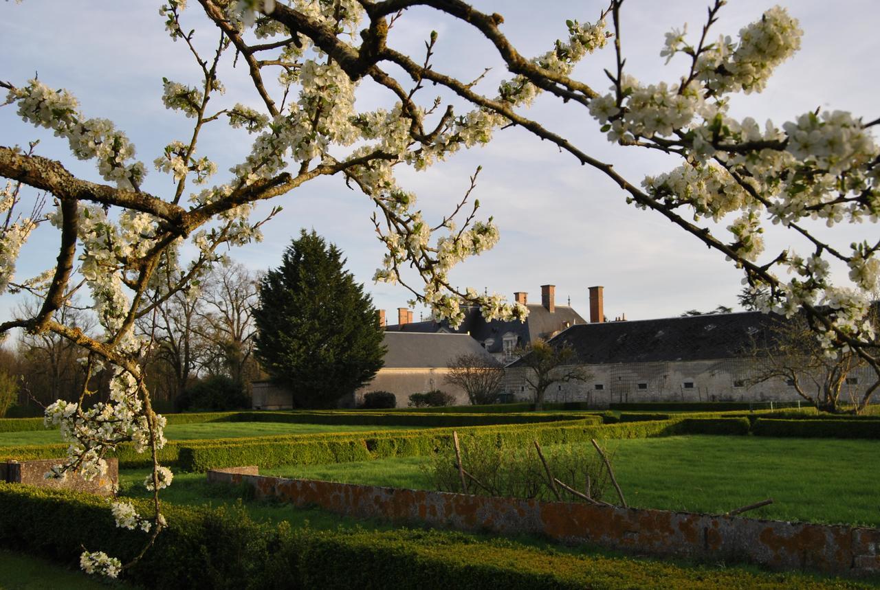 Chateau La Touanne Loire Valley Baccon Exteriör bild