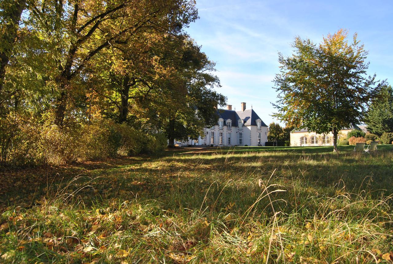 Chateau La Touanne Loire Valley Baccon Exteriör bild