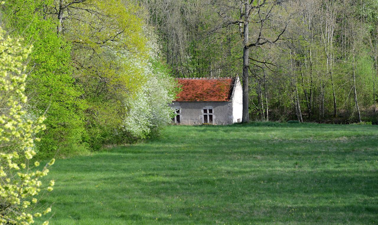 Chateau La Touanne Loire Valley Baccon Exteriör bild